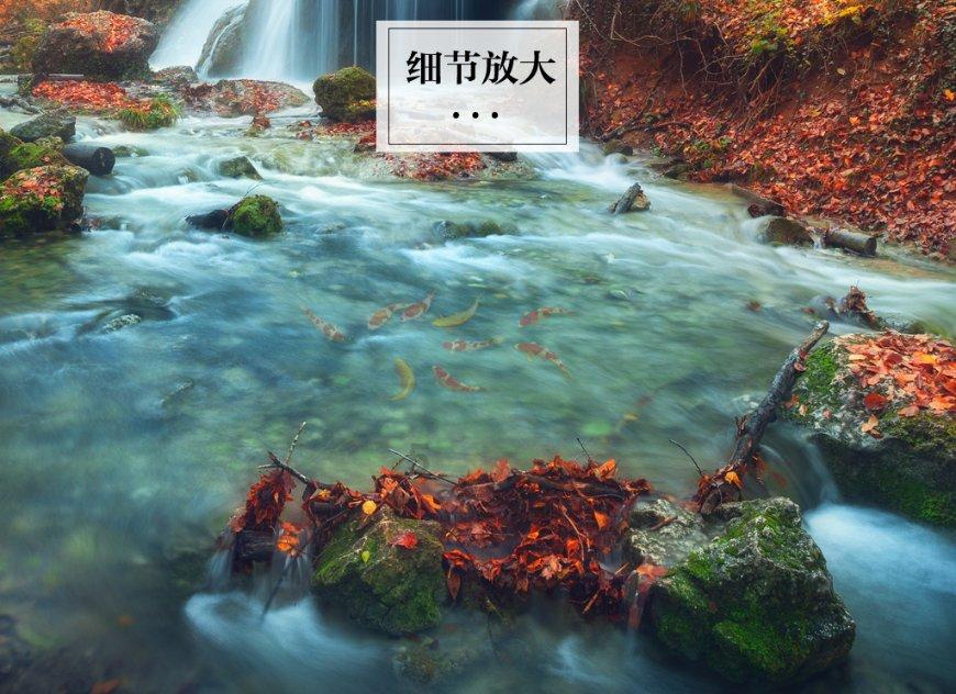 逗小猴开心系列185